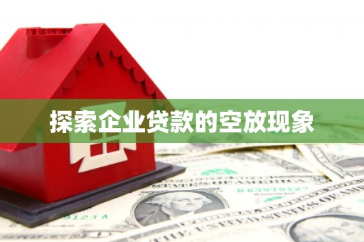 瑶海探索企业贷款的空放现象